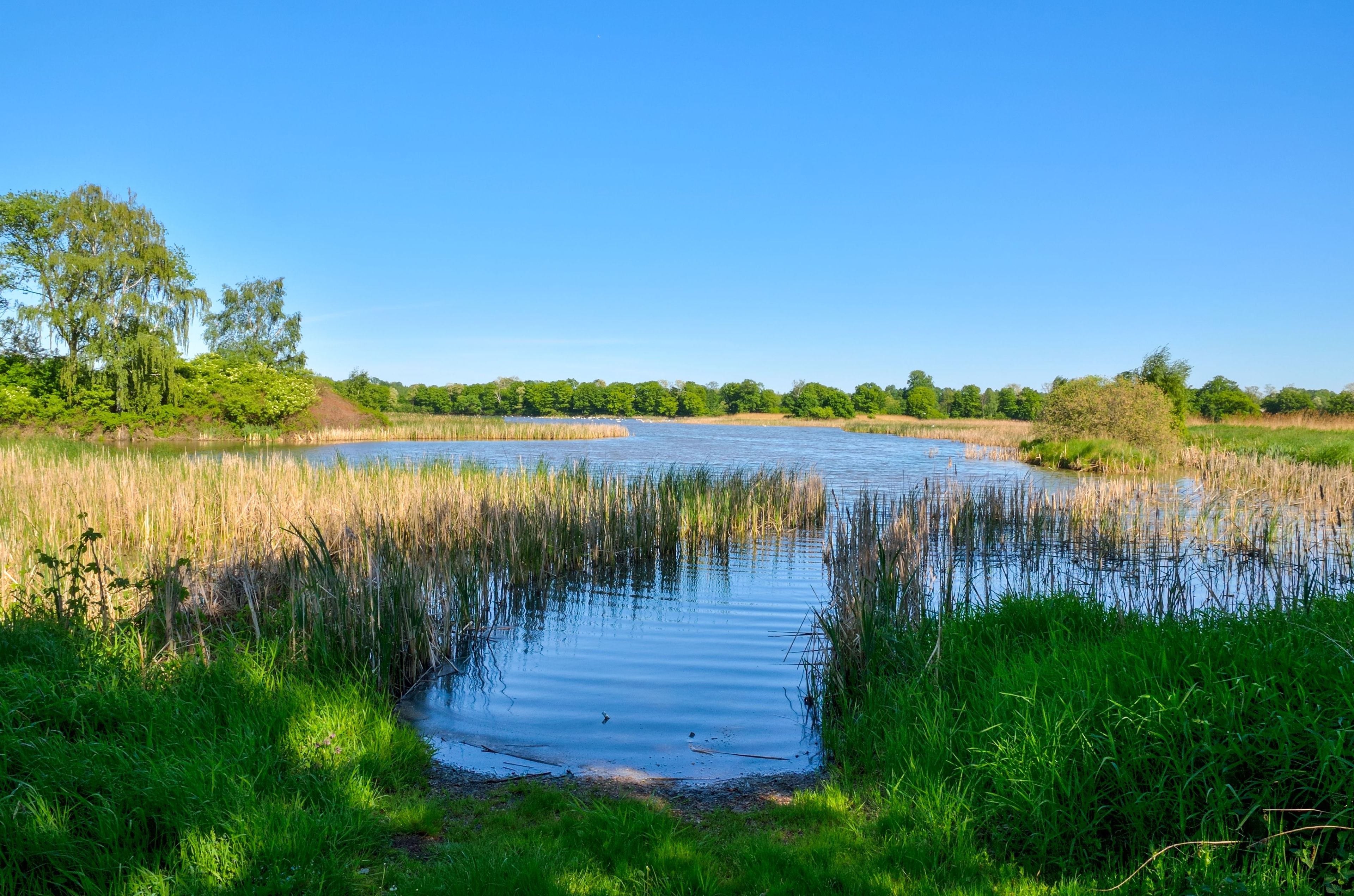 water-natuurplas